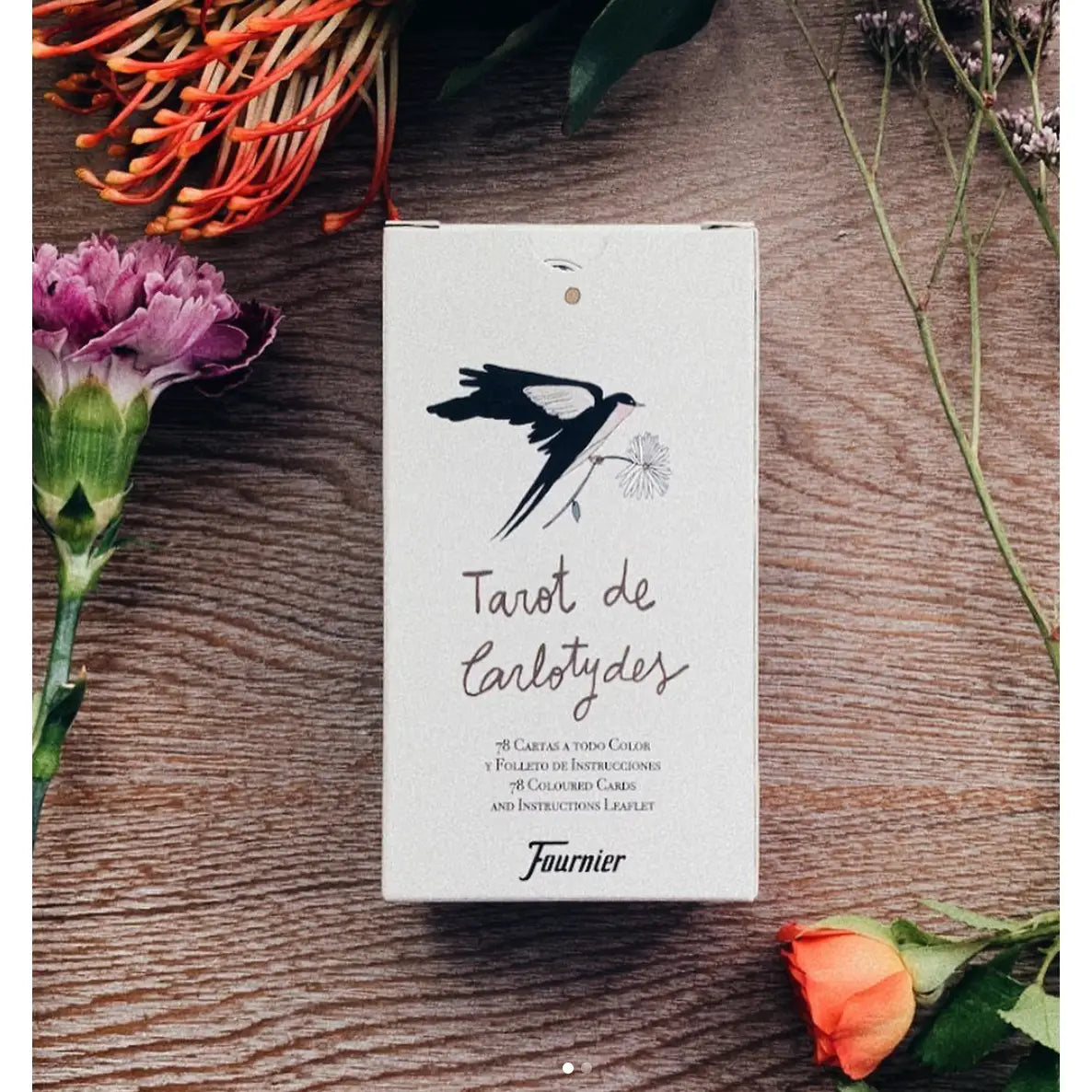 Tarot de Carlotydes