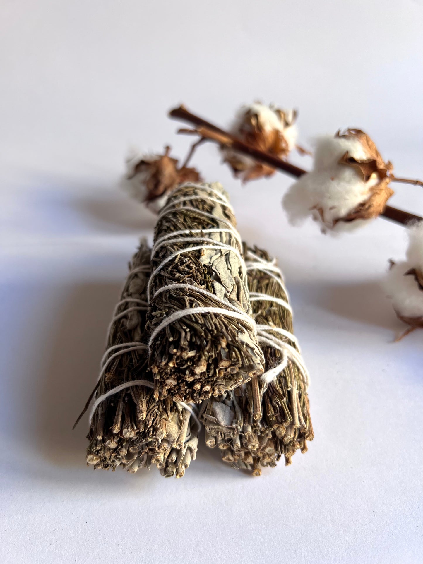 Atado - Salvia Blanca y Romero