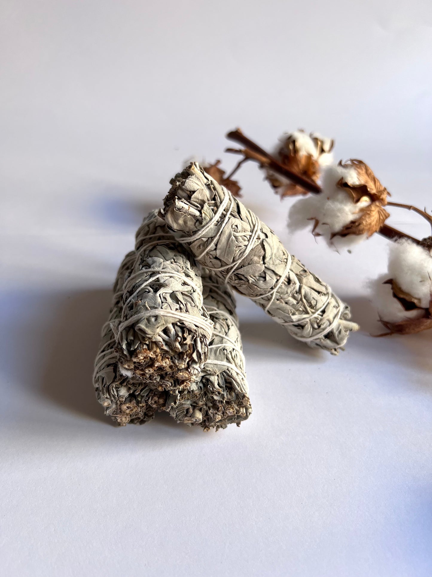 Atado - Salvia Blanca