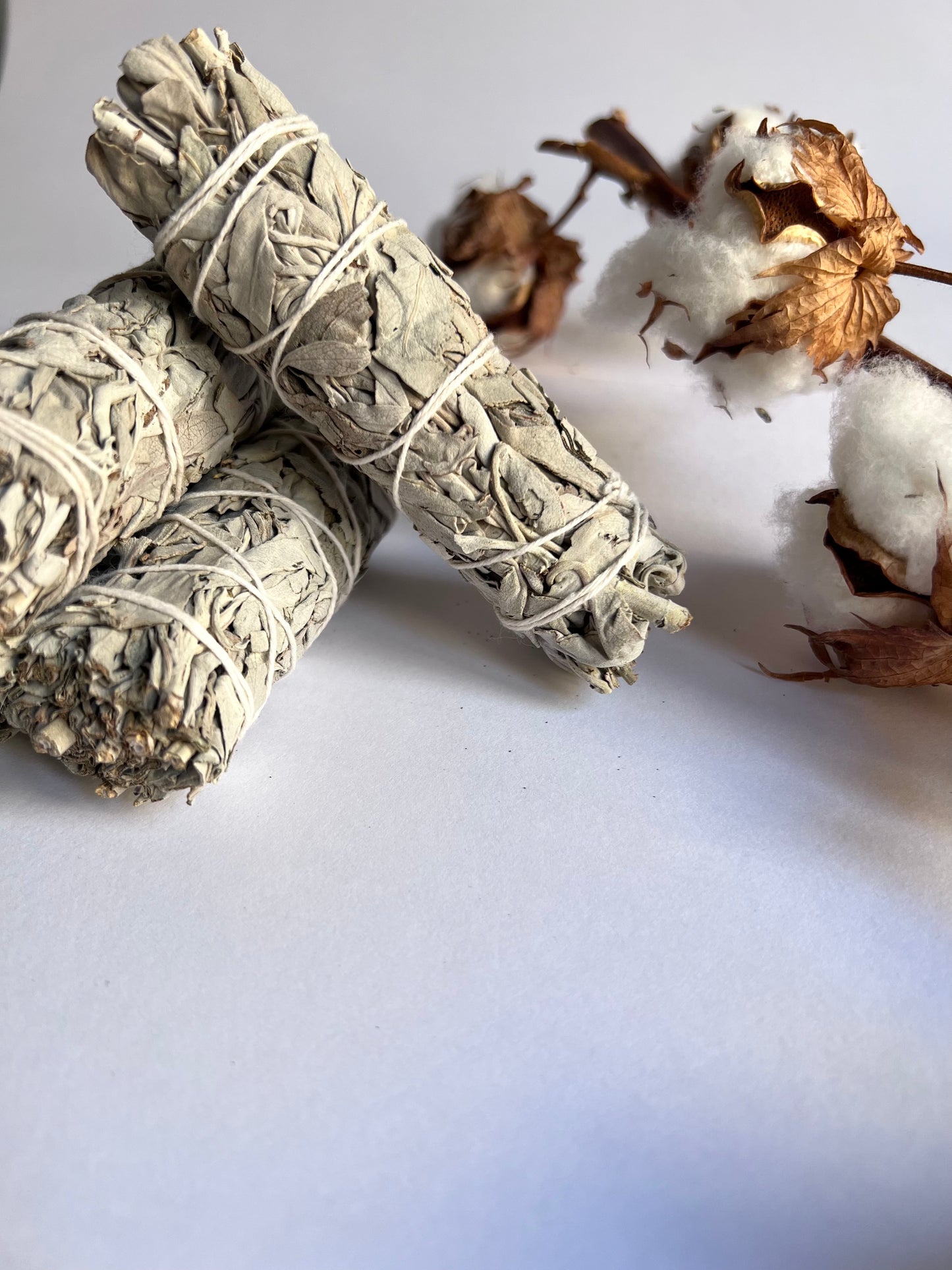 Atado - Salvia Blanca