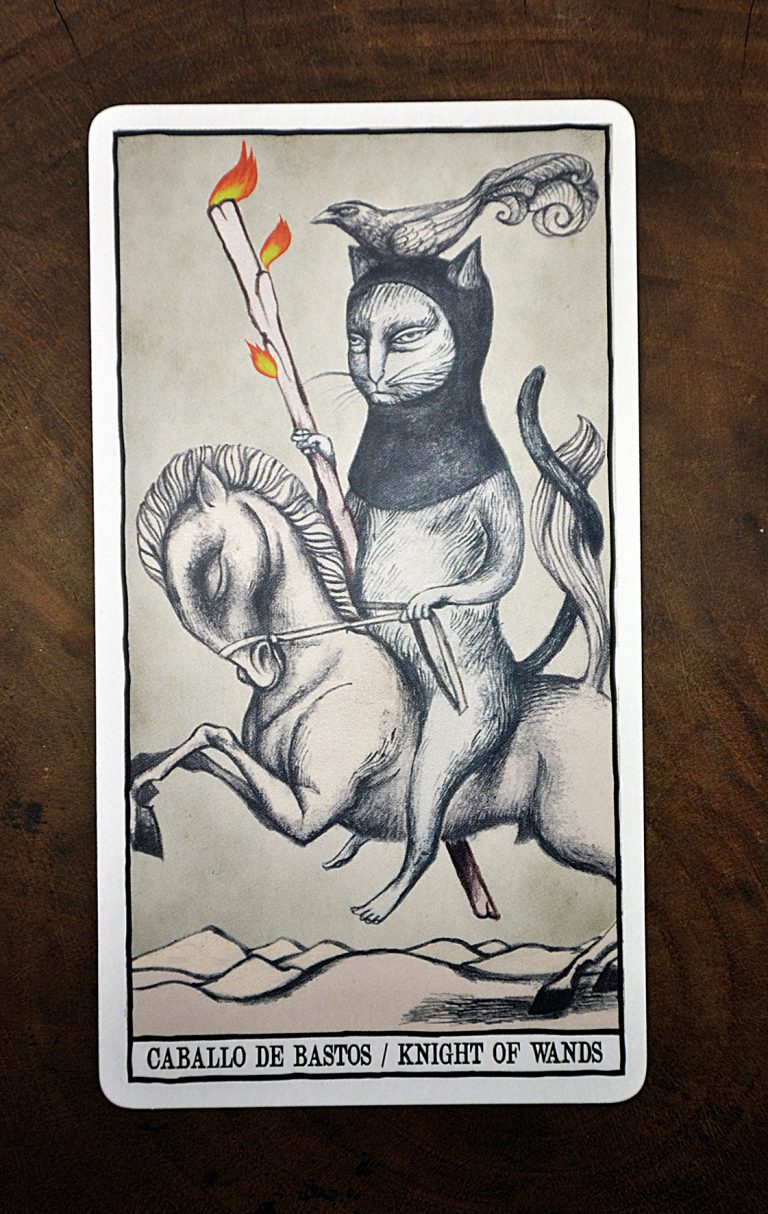 Tarot Cats Ana Juan